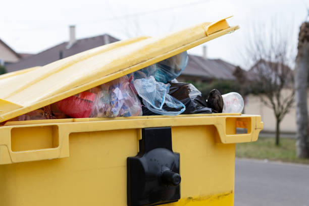 Best Hoarding Cleanup  in Sanborn, NY